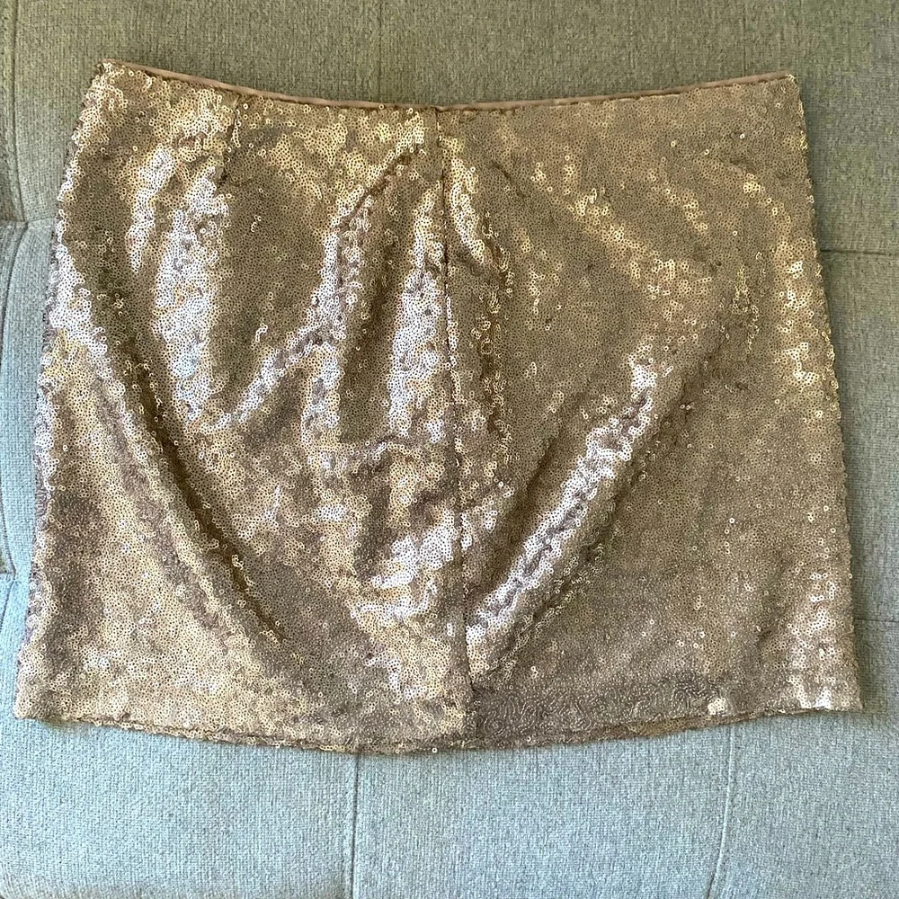 Champagne gold sequin GAP skirt - Picture 1 of 6